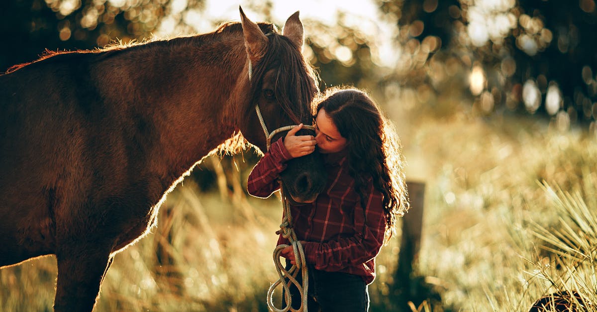 A Step-by-Step Guide to Aerate Your Lawn