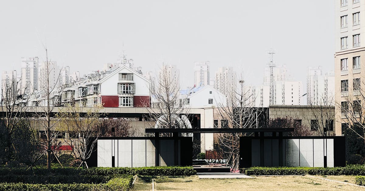 Benefits of Regular Soil Moisture Monitoring for Lawn Health