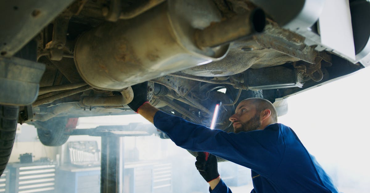 Best Times to Fertilize Your Lawn