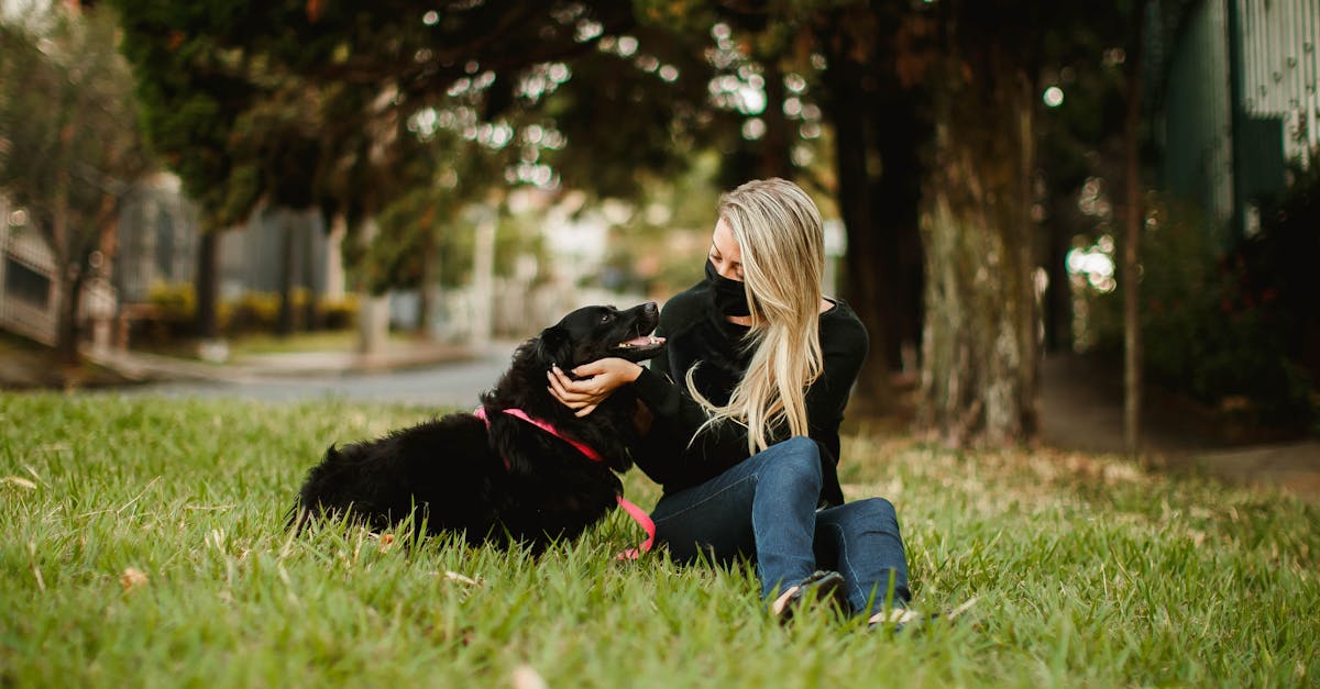 Crisscross Mowing Patterns