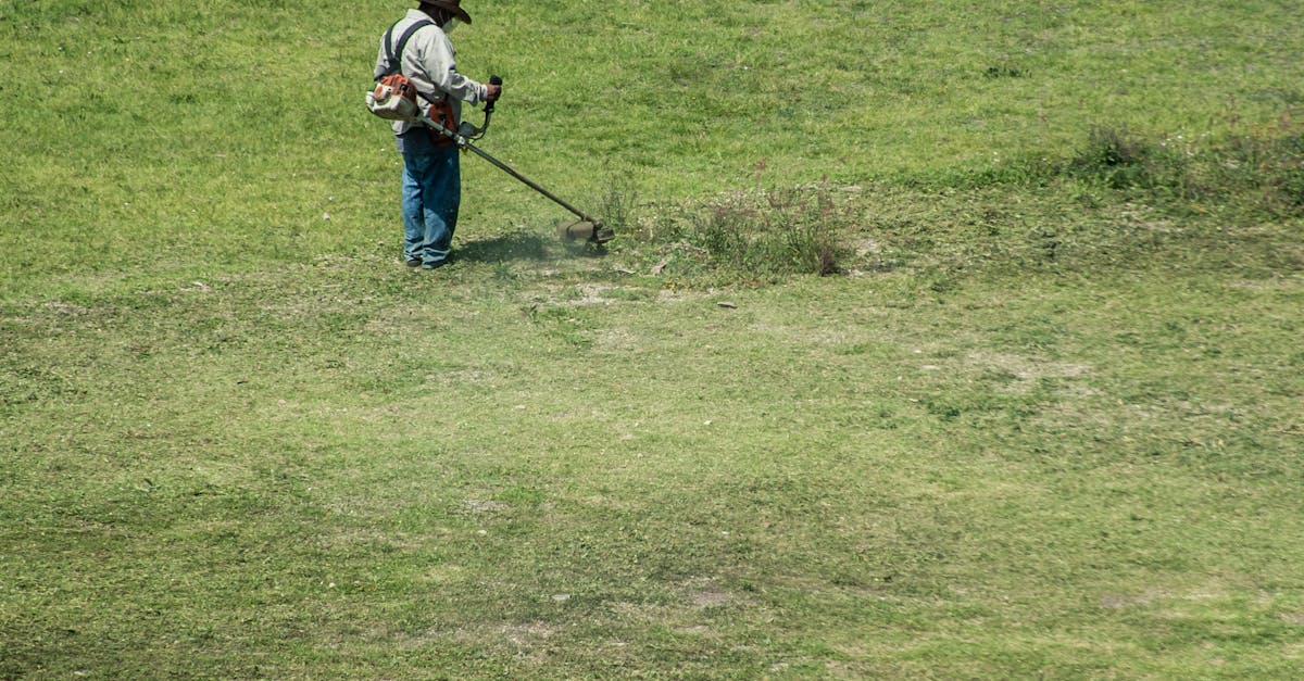 Diagonal Mowing Patterns