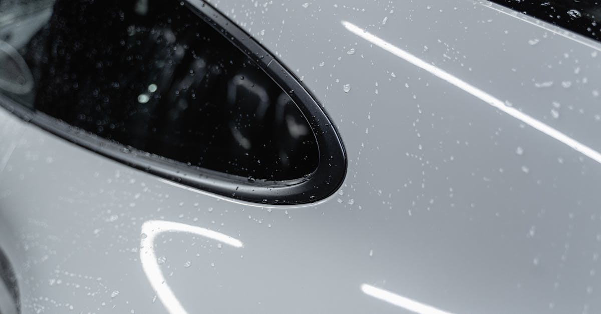 Effective Chemical and Organic Weed Control Methods