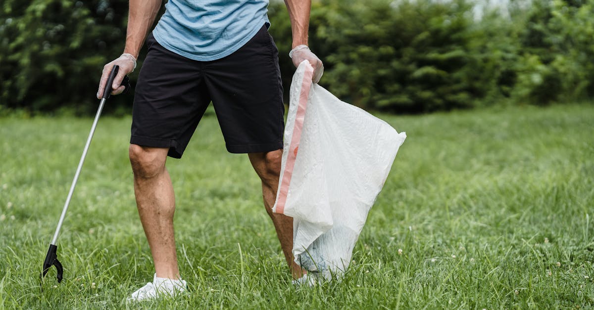 Effective Watering Schedule for Established Lawns