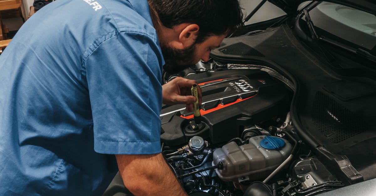 Exploring the Benefits of Natural Lawn Fertilizers