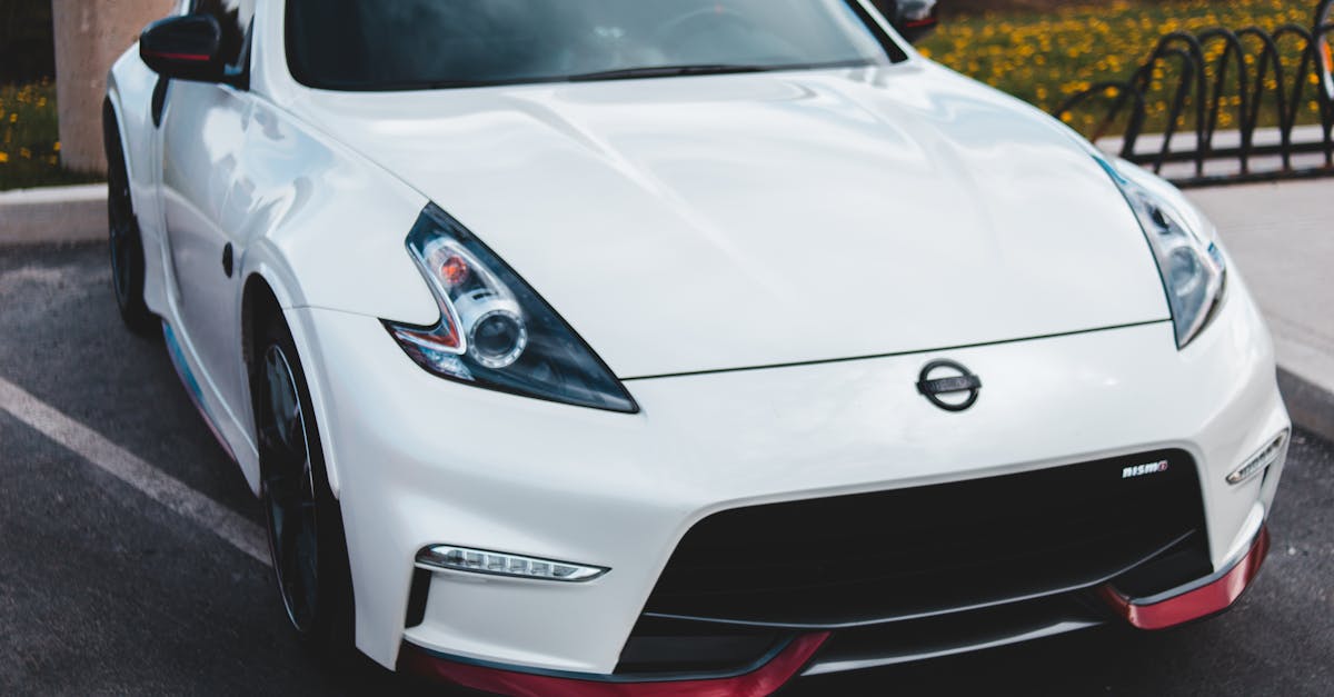 Fall Lawn Maintenance Essentials