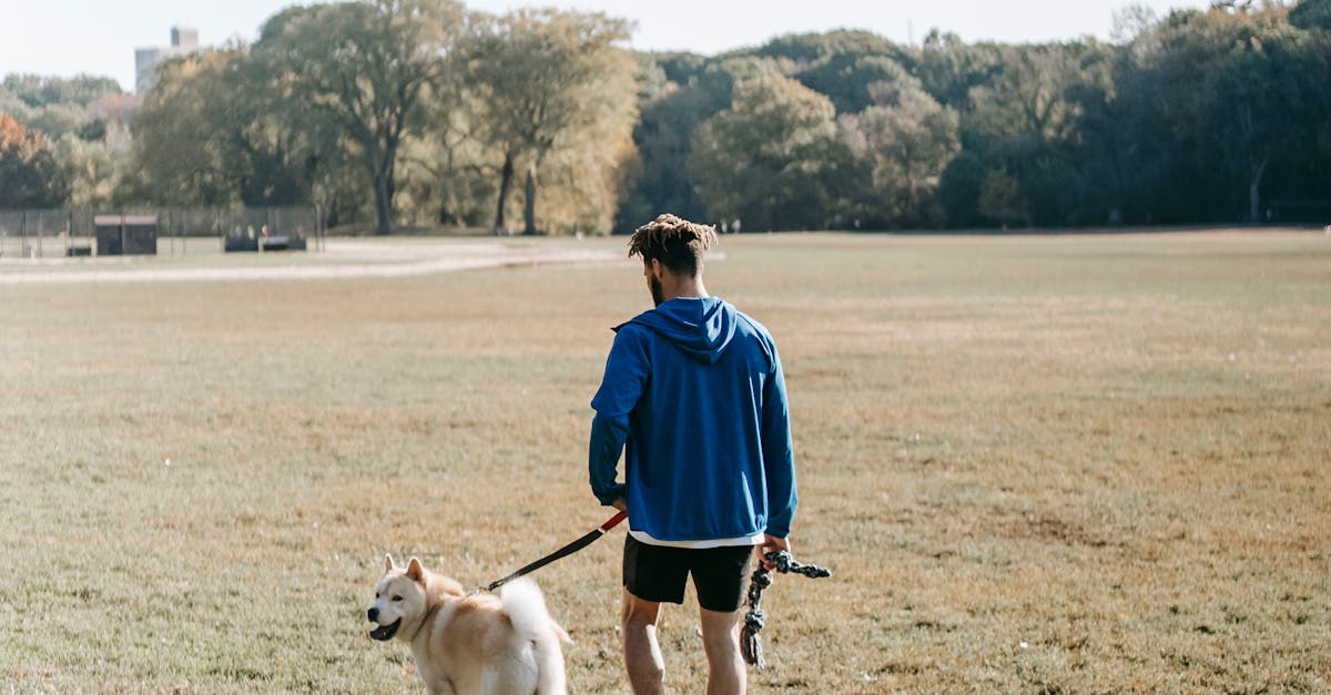 Identifying and Controlling Broadleaf Weeds in Your Lawn