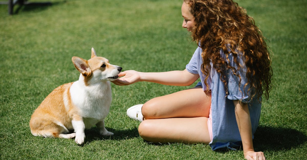 Impact of Sharp Mower Blades on Lawn Health