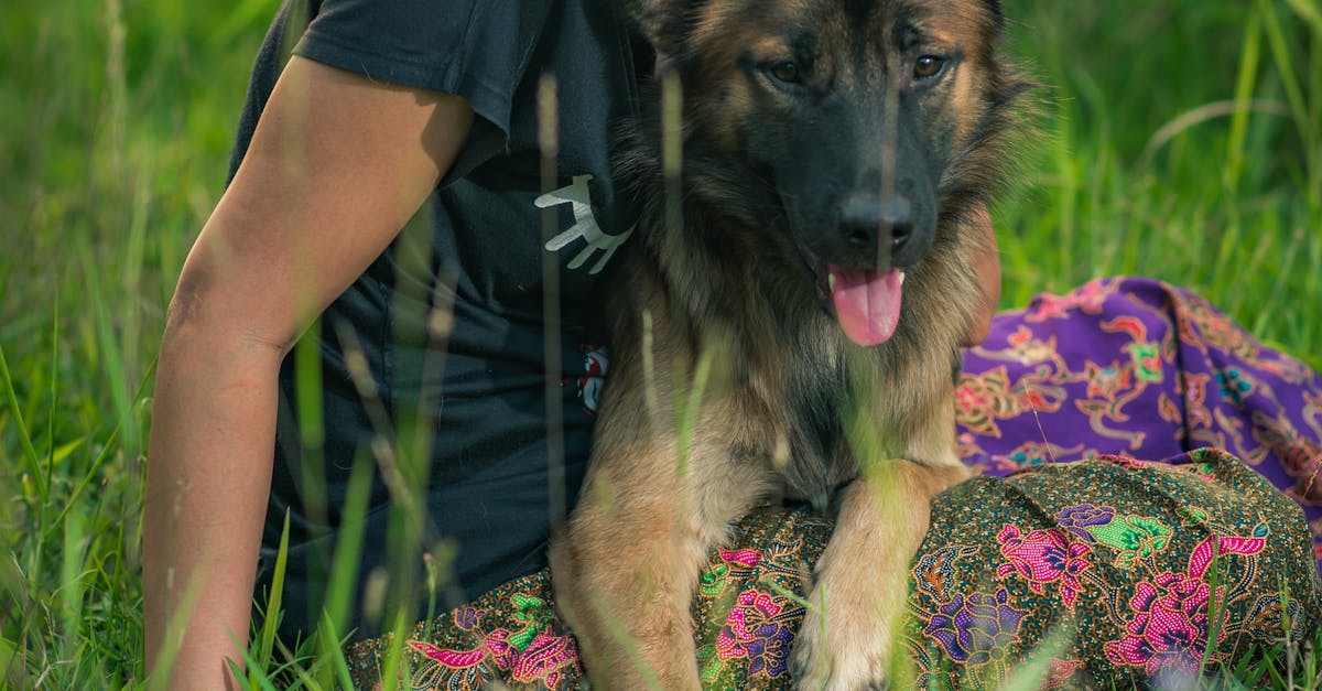 Importance of Sharp Mower Blades in Lawn Care