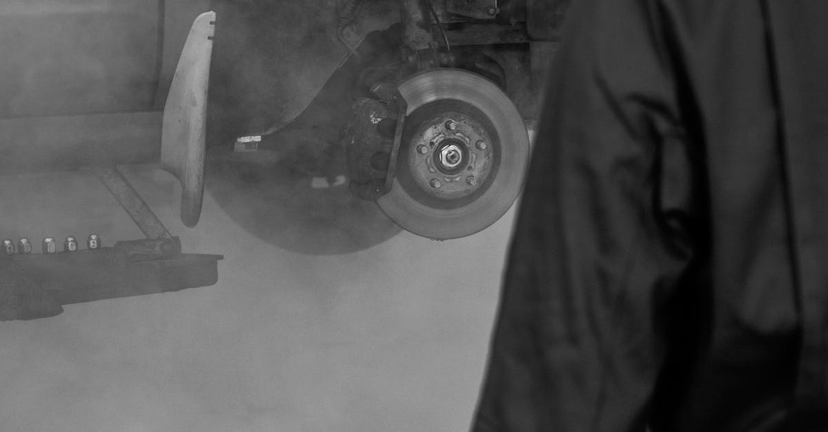 Lawn Fertilization Timing: A Comprehensive Guide