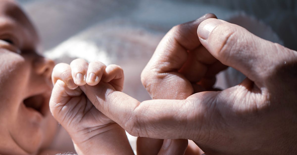 Maintenance Tips for Rainwater Harvesting Systems