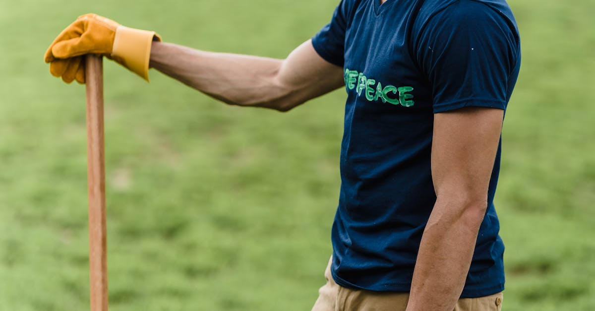 Practical Tips for Spot Treating Weeds in Your Lawn