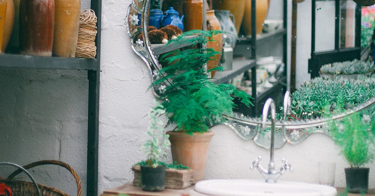 Rainwater Harvesting: Cost-Effective Watering Solution for Your Lawn