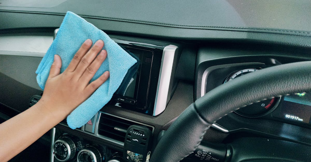 Summer Lawn Watering and Maintenance