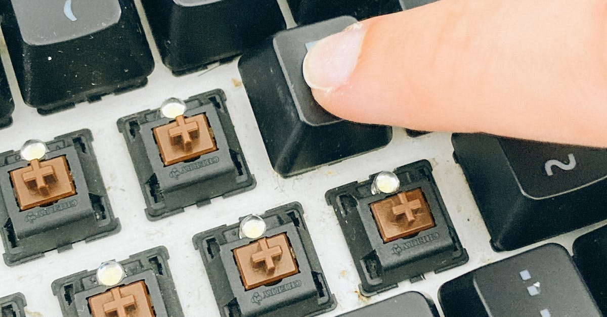 Summer Watering Tips for a Healthy Lawn