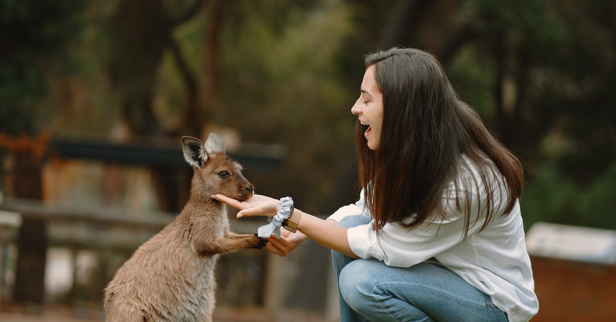 Tips for Determining the Right Mowing Height for Your Lawn