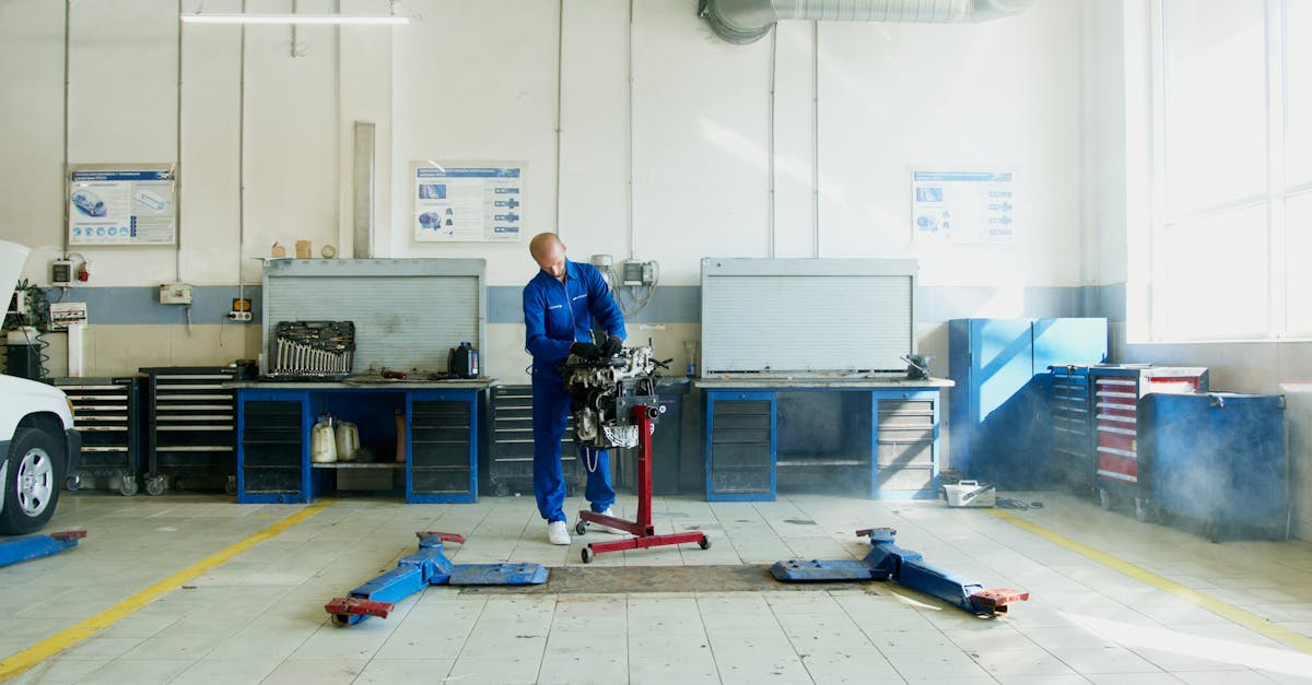 Top Organic Lawn Fertilization Techniques