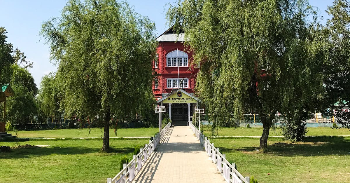 Understanding Different Types of Grass and Their Ideal Mowing Heights