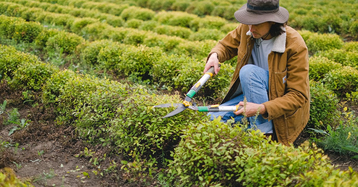 Upgrading to Smart Sprinkler Technology