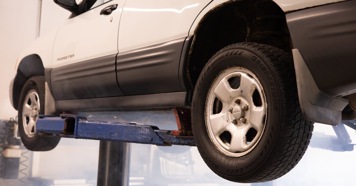 Using Rainwater Harvesting to Reduce Water Usage for Your Lawn