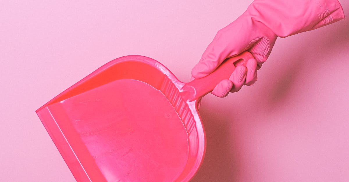 Winter Lawn Protection and Care