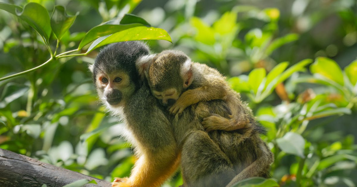 Winter Watering Guide for Lawns